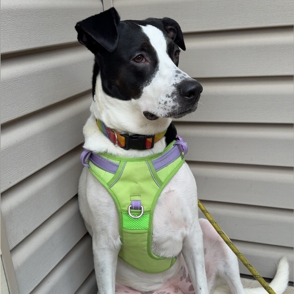 JESS is going LIVE 🐐👀⚡️ - Picture 12 of 17